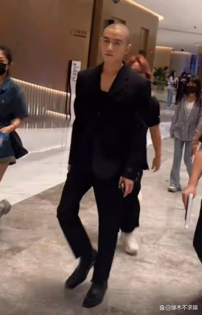 男星白玉蘭生圖：胡歌撐門面，陳曉成紙片人，林一區別對待劉亦菲
