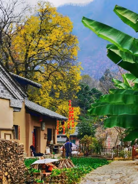 男子強拿銀行卡給弟弟買房被拒毆打妻子,兒女:我們沒你弟弟親嗎