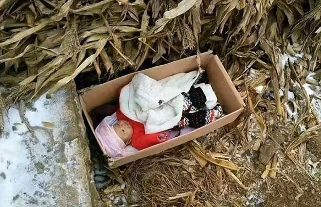 回顧老頭路邊撿棄嬰,靠撿垃圾養大,24年後女孩帶上億現金來報恩
