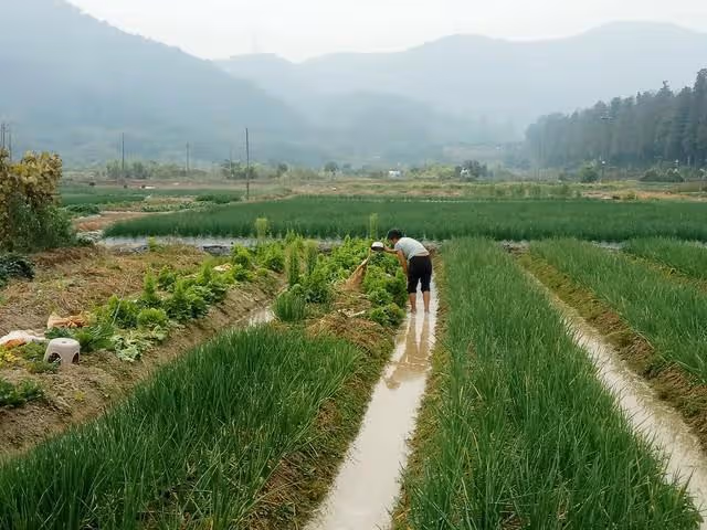 老人帶錢在兒子家裡養老以後,又到女兒家養老,明白了一個道理