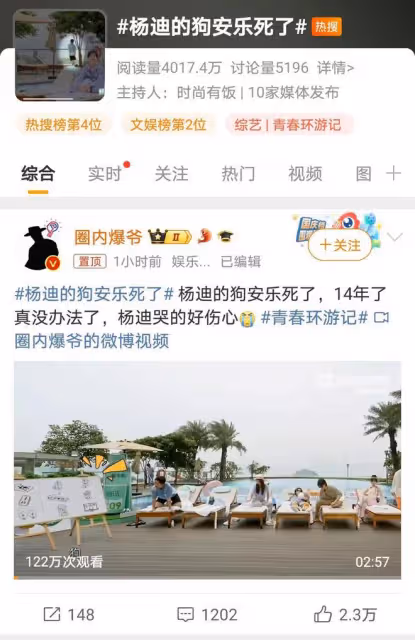 楊迪節目中崩潰大哭,為愛犬選擇安樂死,深情告別14年陪伴