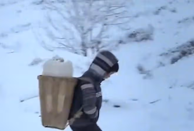 回顧14歲男孩獨守大山6年,只有一頭豬陪伴,每年僅有500元生活費