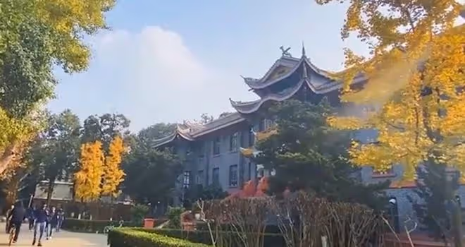 2013年重慶一女博士失蹤,半年後被找到,卻身懷六甲精神失常