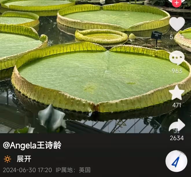 王詩齡久違曬健身照，穿黑色運動裝纖瘦苗條，減肥成功後未反彈