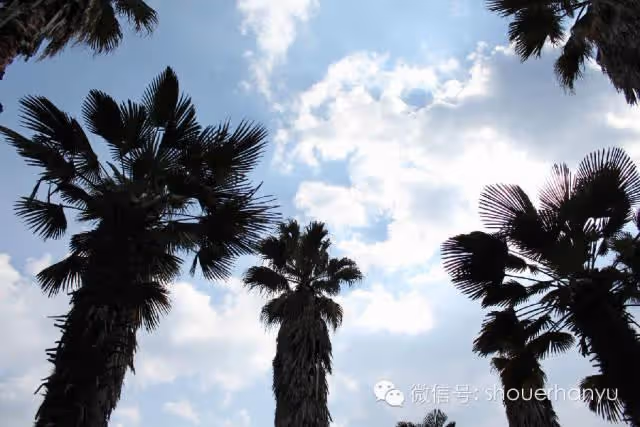 【韓國旅遊】你所不知道的韓國風景--巨濟島