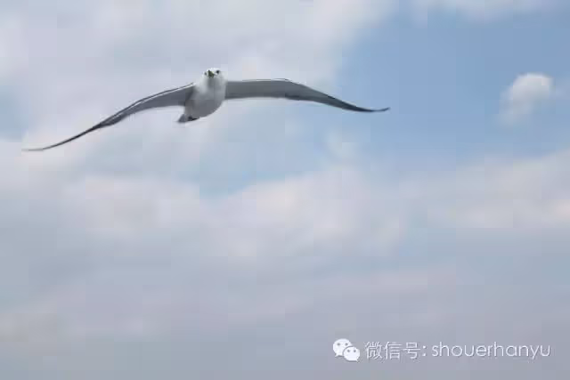 【韓國旅遊】你所不知道的韓國風景--巨濟島