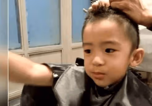 謝賢哭了!張柏芝帶大兒子理髮秒變謝霆鋒,兒子卻這樣描述爸爸!