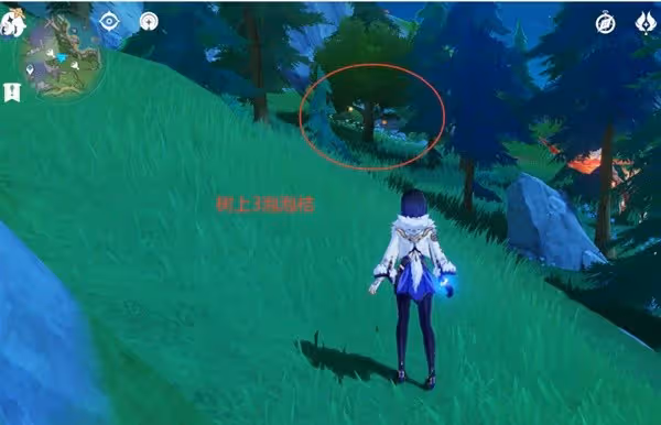 《原神》泡泡桔採集路線分享