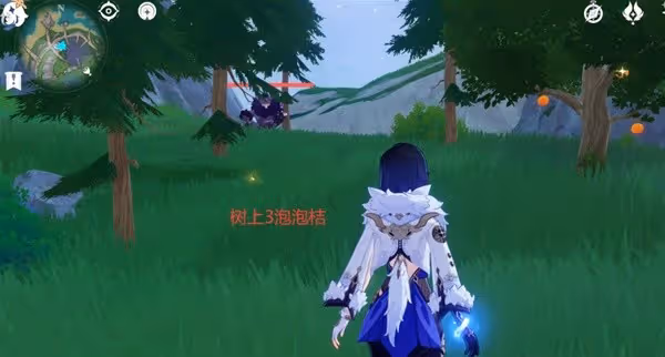 《原神》泡泡桔採集路線分享