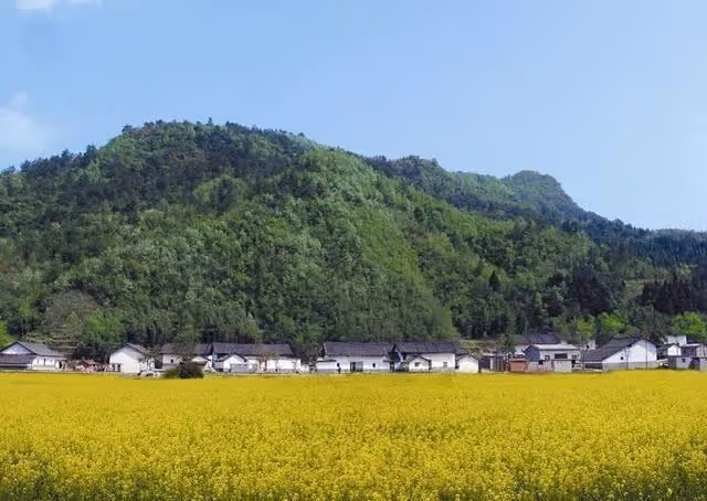 1998年,男子瞻仰岳母遺容,發現母親臉上表情怪異,牽出一樁命案