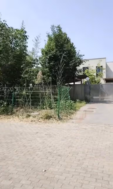 周海媚北京別墅近照曝光,菜地雖變綠但落寞,向日葵花會送到墓地