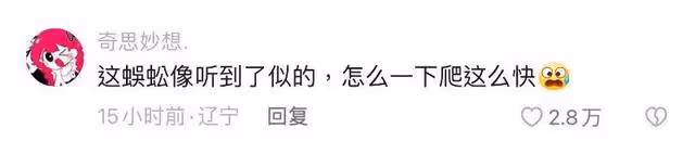 太驚險！超粗蜈蚣身上亂爬！代拍狂喊劉宇寧驚覺救了李一桐！
