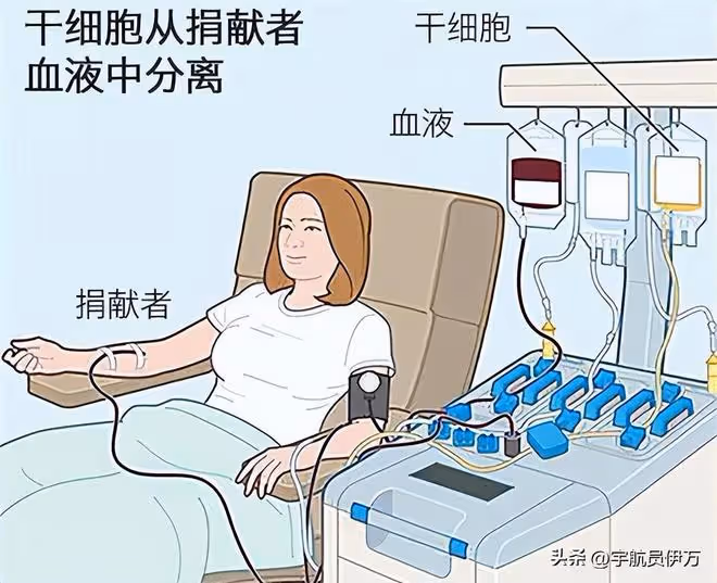 雲南女生捐髓救人,被母親相逼中途反悔,致患者險喪命