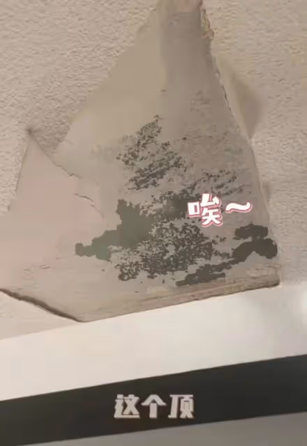 陳赫吐槽家裡漏水,樓都掉頂了!網友:陳龍家更慘,你才一個盆!