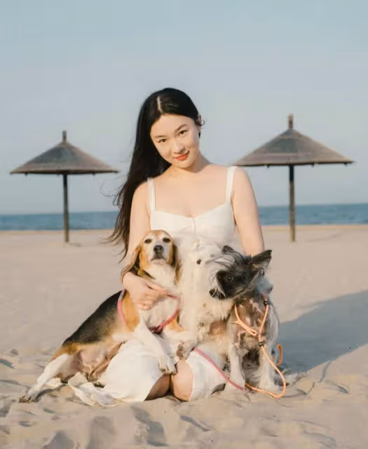 霍思燕帶孩子和七隻狗狗去海邊度假,網友:拉拉真的好二皇子