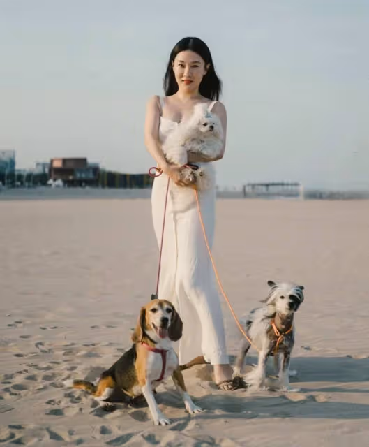 霍思燕帶孩子和七隻狗狗去海邊度假,網友:拉拉真的好二皇子