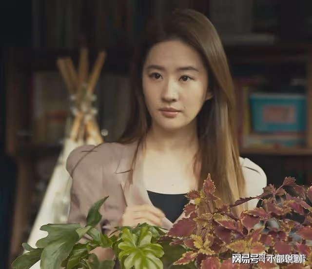 《玫瑰的故事》大結局：感謝方協文放手，方太初會比黃亦玫更優秀