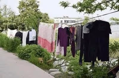 回顧湖南女子與丈夫同寢，每次醒後襯褲總有破洞，真相究竟是什麼