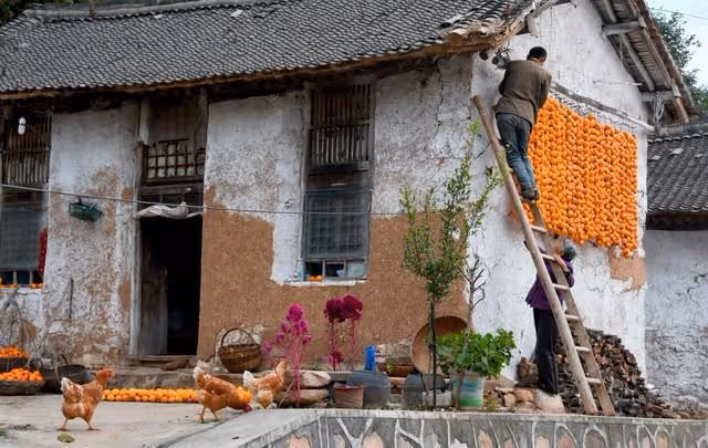在兒子家帶孫，兒媳天天給我冷臉，我讓她媽來帶孩子，兒子又不幹