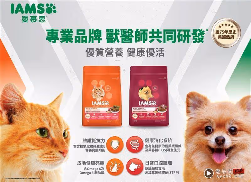 時尚蜈蚣的高溫救星報到!跟著潮流指標輕鬆找到命定鞋款