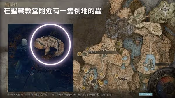 《艾爾登法環》DLC集物蟲的製作筆記全收集