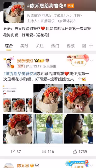 陳喬恩為狗簪花引關注,寵物時尚新潮流?愛犬表情成亮點