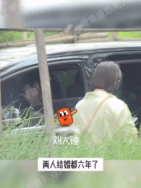 馬麗與老公外出買家具，有商有量感情超甜蜜
