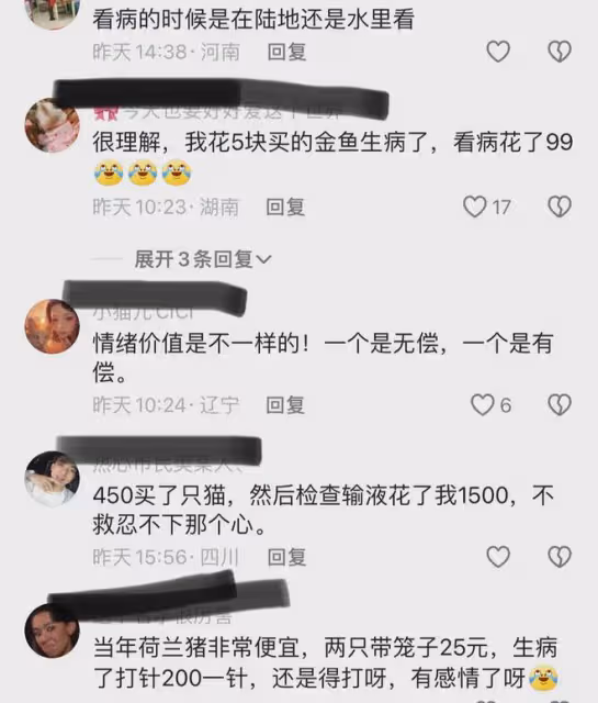 女生花470元帶1條魚去醫院治療:買的時候25元,養了五六年有感情