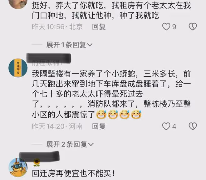 居民把樓道圈住養5隻雞,滿地泥巴菜葉臭氣熏天,再看樓梯好奇葩