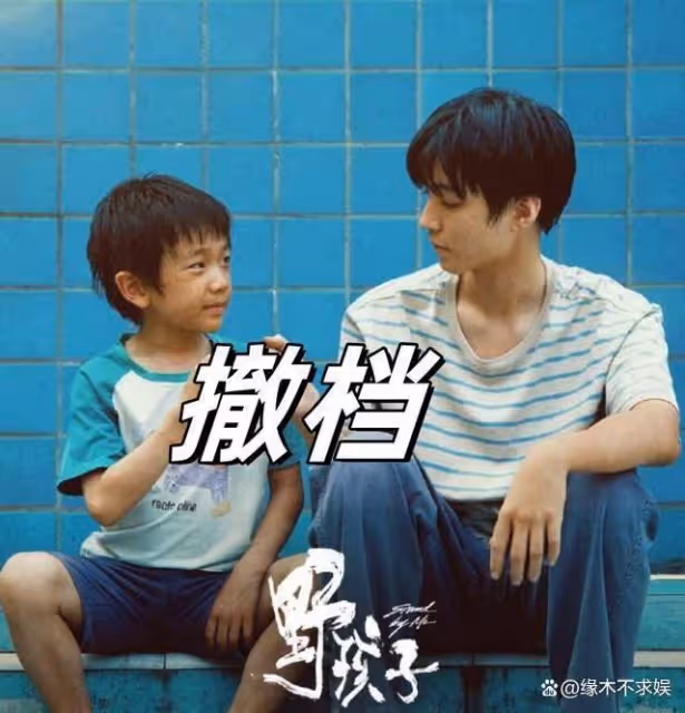 《野孩子》撤檔!上午提檔下午撤檔,原因曝光,王俊凱評論區淪陷