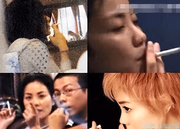李嫣兔唇並未修復？專家一句話撕下王菲遮羞布，原來我們都被騙了