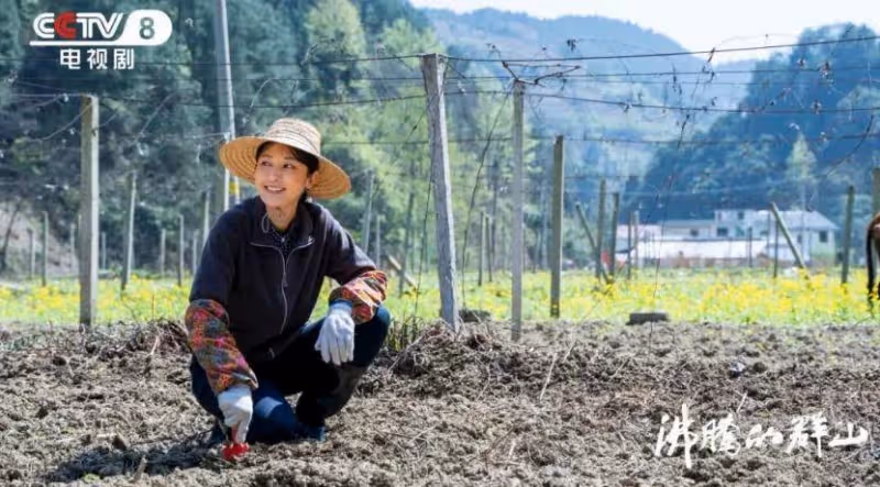 《沸騰的群山》:僅僅2集,拿下全國第3,央視黑馬劇爆了
