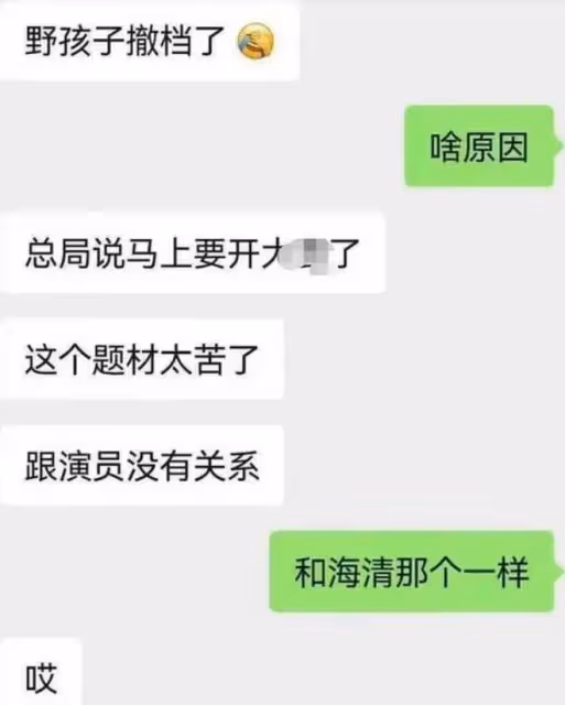 《野孩子》撤檔與王俊凱無關,著名編劇公開其撤檔的原因