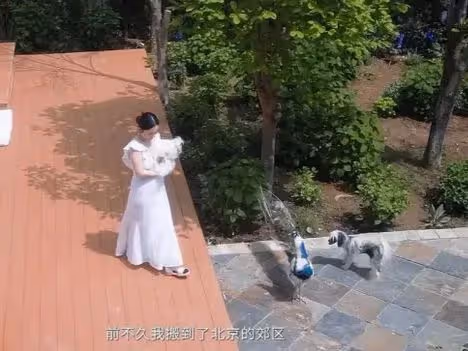 43歲霍思燕胖成「球」,北京豪宅占地5畝,網友大呼:還是卷的太晚