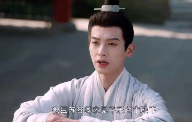 《度華年》:原來,這才是蘇容卿求娶李蓉的真相