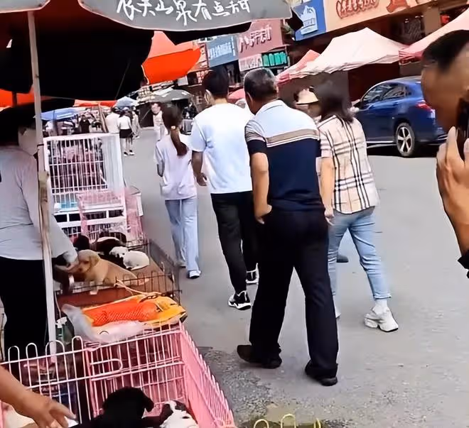 賈乃亮帶甜馨回老家，打扮樸素接地氣，發現被拍後扭頭就走