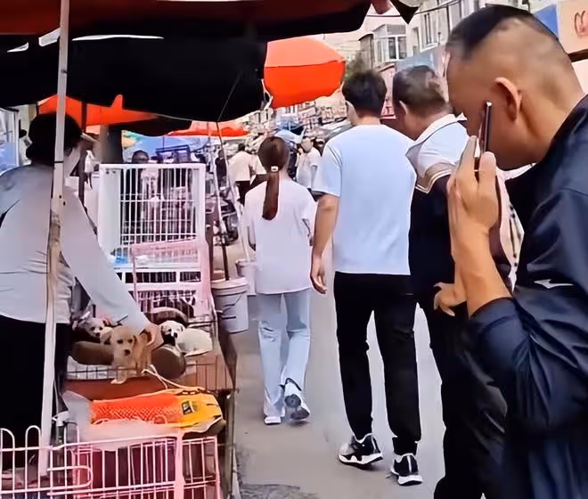 賈乃亮帶甜馨回老家，打扮樸素接地氣，發現被拍後扭頭就走
