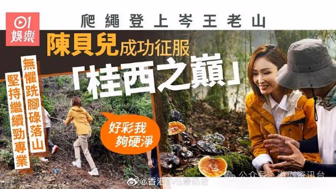 陳貝兒爬繩挑戰岑王老山找珍貴仙草!險跣腳碌落山照繼續勁專業