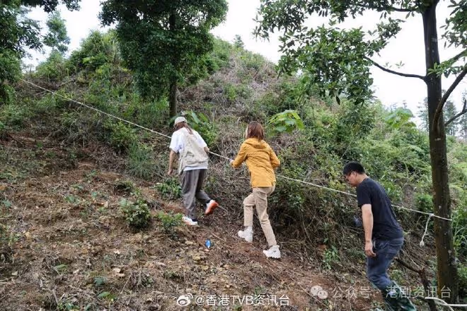 陳貝兒爬繩挑戰岑王老山找珍貴仙草!險跣腳碌落山照繼續勁專業