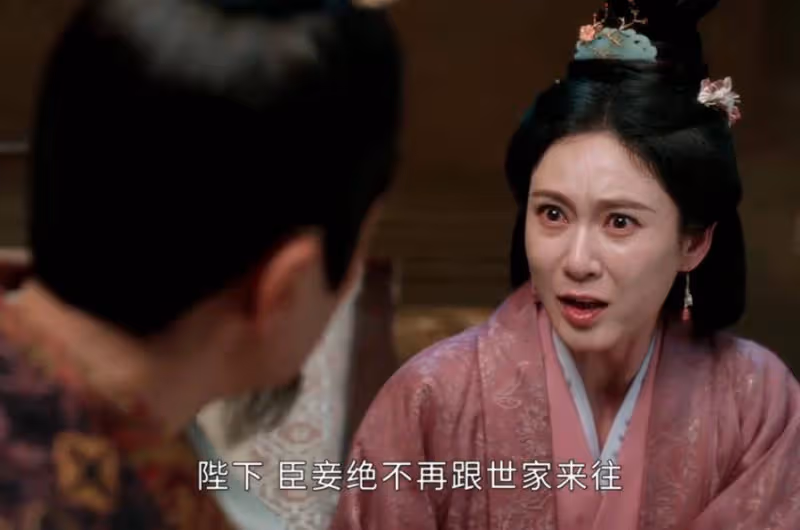 《度華年》:開始著急了,終於明白蘇容卿想要做什麼