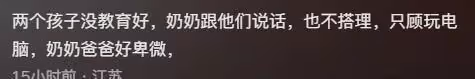 大S兒子親吻張蘭,2孩子一直玩電腦,奶奶說話也不搭理