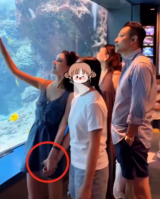 汪小菲送孩子回台北,給保姆安排頭等艙,蘭姐合影表達感謝