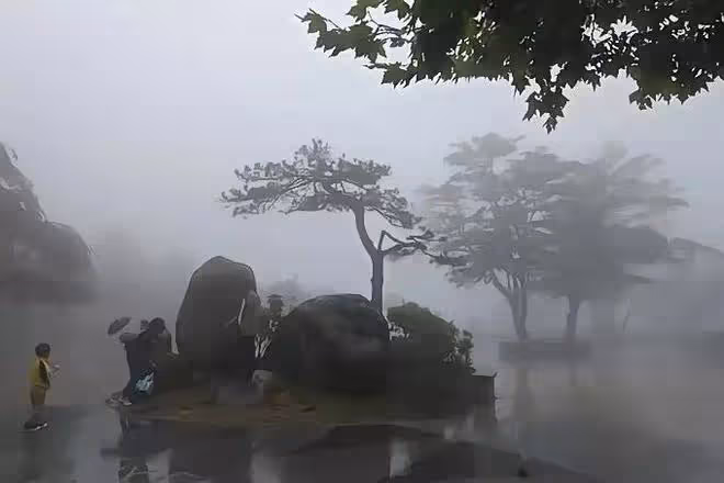 前妻再婚的兒子結婚,竟然讓前夫錢,前妻的理由讓前夫無奈