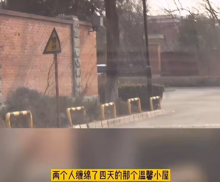 謝霆鋒被發現住張柏芝家，兩人離婚多年終要復婚？王菲又單身了