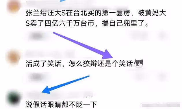 大S怒了!你們秀恩愛,我拆台!疑有意爆出事關張蘭的諸多猛料!