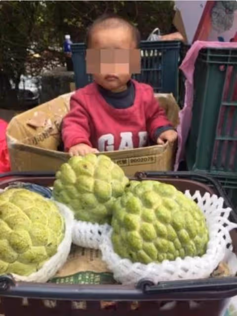 獨自擺攤賣釋迦！媽頂寒風冒雨撐生計，驚見她「往紙箱塞奶瓶」掀開一看：讓人鼻酸