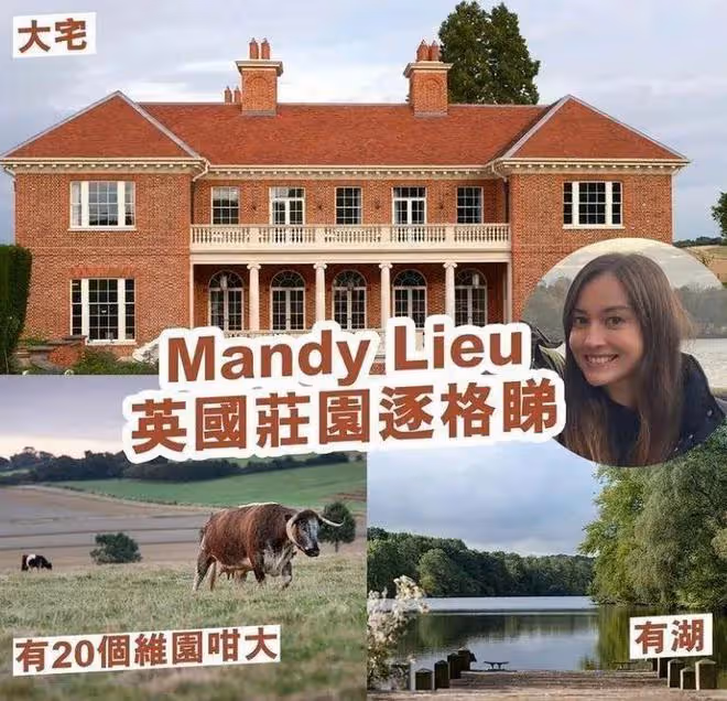 洗米華被判18年罰款248億,妻子到處遊玩,情人住2億莊園
