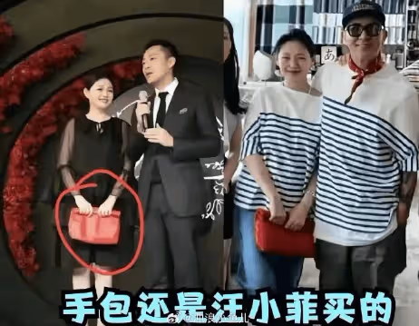 火力全開!大S毒舌點評小S母女照片,小S難掩怒意