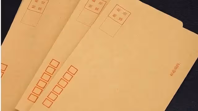 2011年,被槍決9年的犯人「復活」,查出真相後牽出案中案