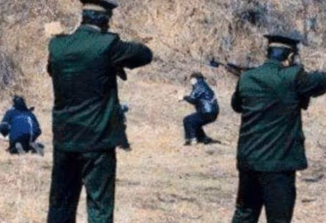2011年,被槍決9年的犯人「復活」,查出真相後牽出案中案
